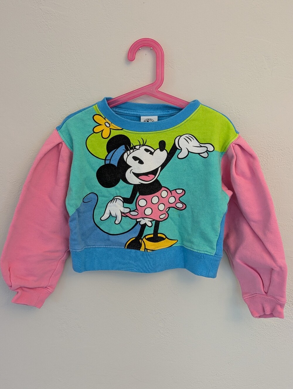 Minnie Mouse Colorblock Sweatshirt - Pink Sleeves, Turquoise Body